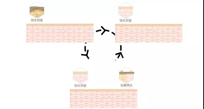 亚美AM8AG·(中国区)官方网站