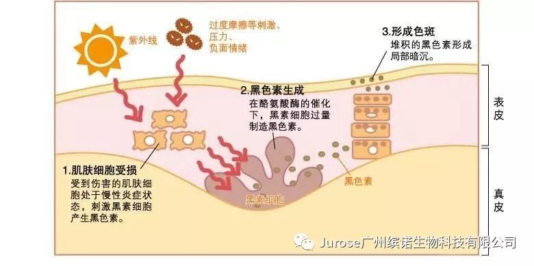 亚美AM8AG·(中国区)官方网站