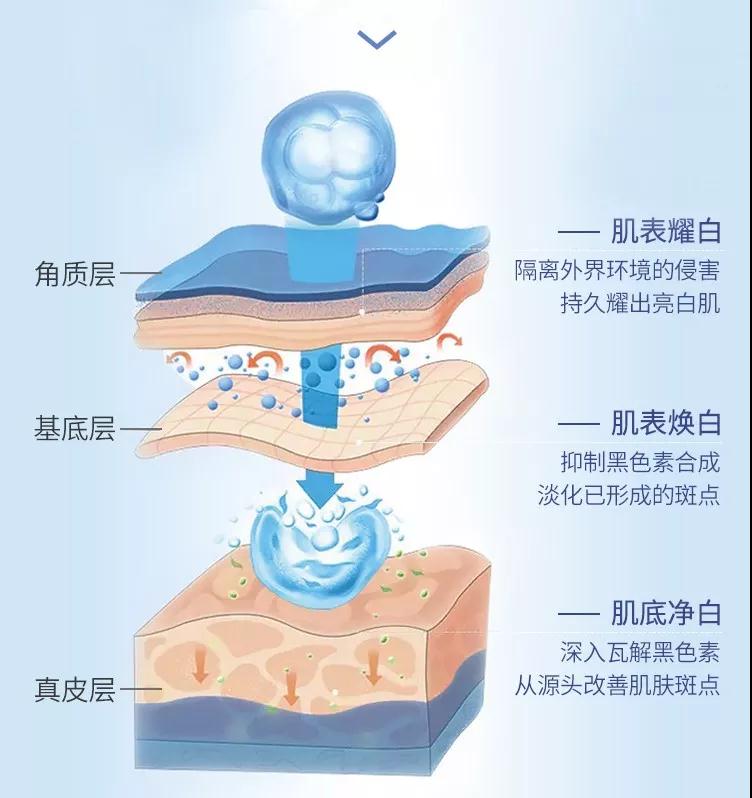 亚美AM8AG·(中国区)官方网站